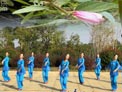 春英广场舞小河淌水