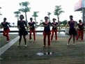 动动广场舞梦中花