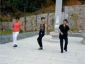 动动广场舞刘海砍樵