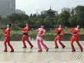 动动广场舞牧马少年