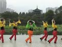 动动广场舞让我听懂你的语言