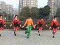 动动广场舞福满农家