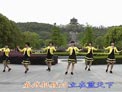 动动广场舞梦中的唐古拉