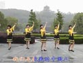 动动广场舞最美中国人
