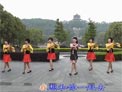 动动广场舞纳木措
