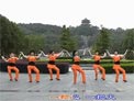 动动广场舞红山果