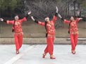 动动广场舞火火的中国