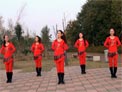 美久广场舞草原一枝花