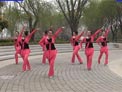 美久广场舞唱春