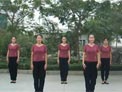 美久广场舞快乐阿拉蕾