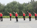 云裳馨悦广场舞最炫民族风