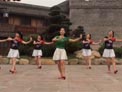 茉莉广场舞我是你的草还是你的宝