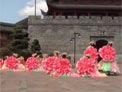 茉莉广场舞为祖国贺岁