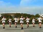 茉莉广场舞爱情在草原
