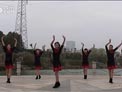 茉莉广场舞谁家的姑娘