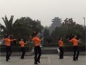 茉莉广场舞八十八佛下载