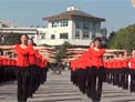 茉莉广场舞绿旋风下载