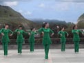 茉莉广场舞亲爱的别让我受伤下载
