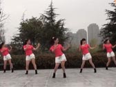 茉莉广场舞我也是醉了下载