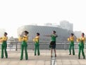 青儿广场舞油菜花儿黄