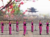 青儿广场舞羊年吉祥
