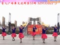 青儿广场舞我爱你不是因为你爱我