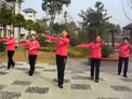 青儿广场舞黄金一笑
