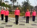 青儿广场舞梦高原