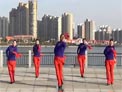青儿广场舞新年乐逍遥