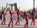 青儿广场舞你是我今生的依靠