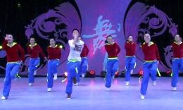 杨艺艺子军星月广场舞《大时代》