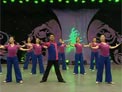 杨艺广场舞存在