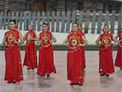 杨艺广场舞喜迎门