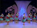 杨艺广场舞家乡