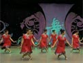 杨艺广场舞天山上的雪莲花