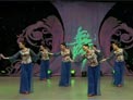 杨艺广场舞北方飞来的黑颈鹤