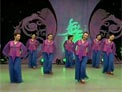 杨艺广场舞花好月圆