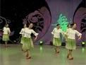 杨艺广场舞板蓝花儿开