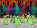 杨艺广场舞但愿人长久