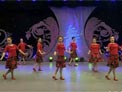 杨艺广场舞南泥湾