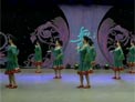 杨艺广场舞吉祥藏历年