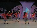 杨艺广场舞蝶恋花