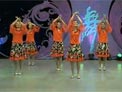 杨艺广场舞闪亮的日子
