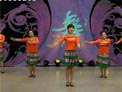 杨艺广场舞苗乡赶歌