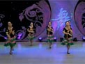 杨艺广场舞瑶族情歌