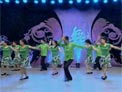 杨艺广场舞美丽的草原