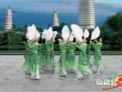 杨艺广场舞盛世茉莉花