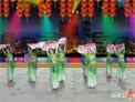 杨艺广场舞化蝶