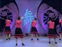 杨艺广场舞康定情歌