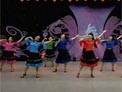 杨艺广场舞玫瑰花儿香